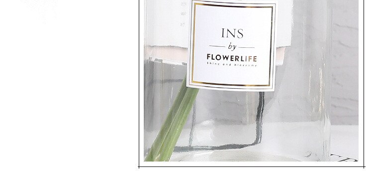 Nordic Glass Vase in Two Styles