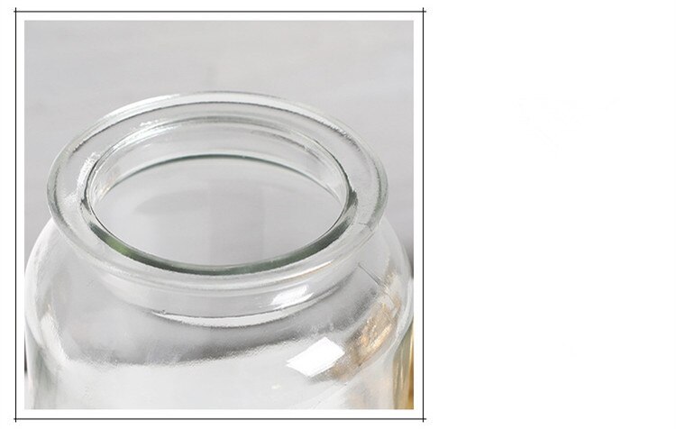 Nordic Glass Vase in Two Styles